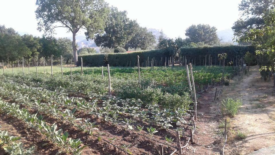 Agriturismo Tre Santi Villa Padula Bagian luar foto