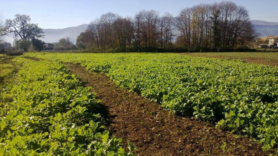 Agriturismo Tre Santi Villa Padula Bagian luar foto