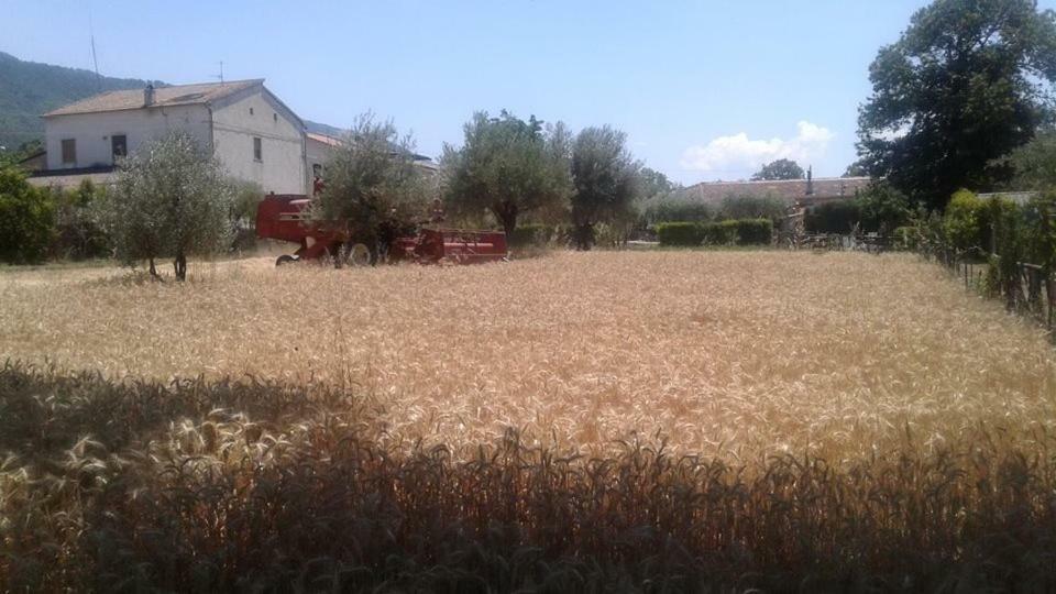 Agriturismo Tre Santi Villa Padula Bagian luar foto